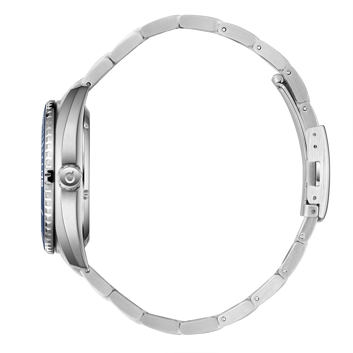 QUANTUM BARRACUDA